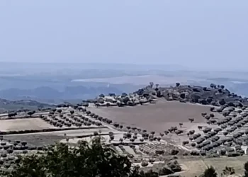 cufdkfla07epvy9dmzfr